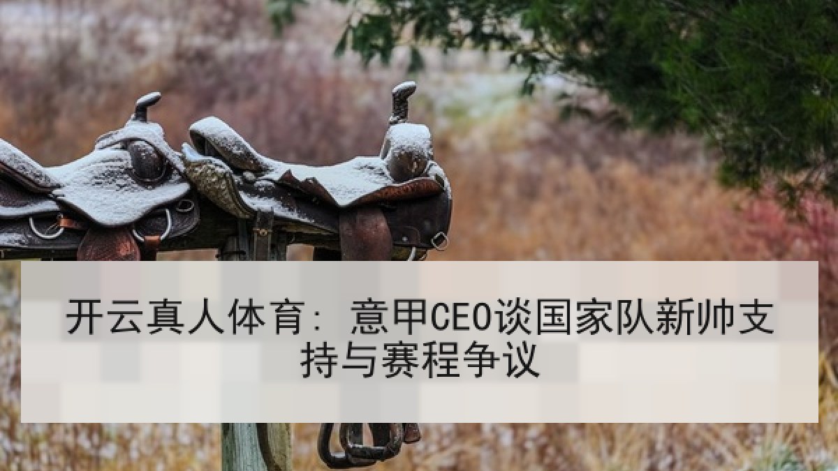 开云真人体育: 意甲CEO谈国家队新帅支持与赛程争议