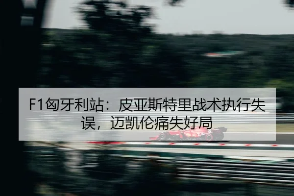 xiong-ya-li-zhan-pi-ya-si-te-li-zhan-shu-zhi-xing-shi-wu-mai-kai-lun-tong-shi-hao-ju-2-882.jpg