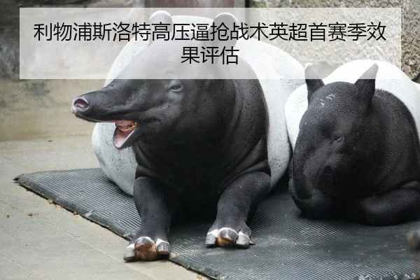 利物浦斯洛特高压逼抢战术英超首赛季效果评估