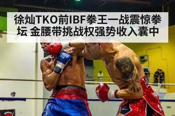 徐灿TKO前IBF拳王一战震惊拳坛 金腰带挑战权强势收入囊中