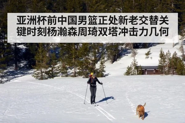 亚洲杯前中国男篮正处新老交替关键时刻杨瀚森周琦双塔冲击力几何